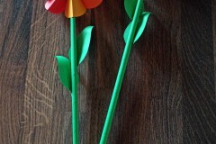 IMG-20250507-WA0002